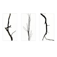 Baum_Triptychon-1200