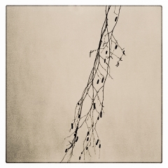 Scan-180107-0001