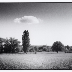 Suedpfalz1