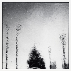 Reflexionen#2